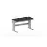 Treston Concept Ergo Electric Lab Table with Phenolic Top